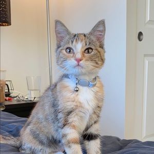 Meet your Posher, Nicole